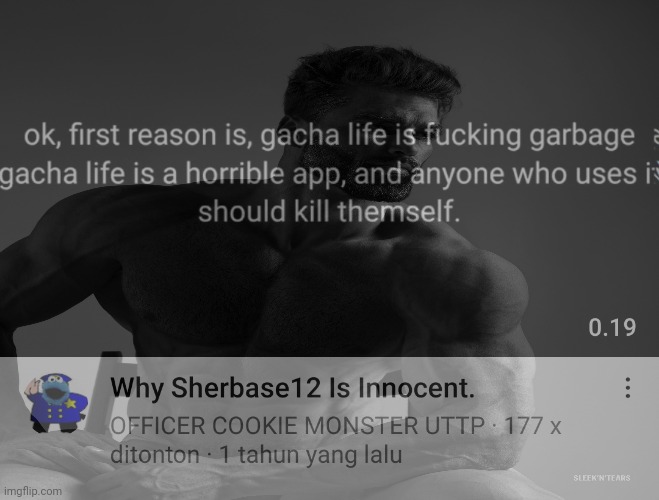 Sherbase12 is a based person who hacks gacha accounts | made w/ Imgflip meme maker