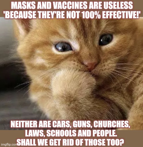 This #lolcat wonders if everything that's not 100% effective should exist | MASKS AND VACCINES ARE USELESS
'BECAUSE THEY'RE NOT 100% EFFECTIVE!'; NEITHER ARE CARS, GUNS, CHURCHES, 

LAWS, SCHOOLS AND PEOPLE.
SHALL WE GET RID OF THOSE TOO? | image tagged in covidiots,face mask,guns,lolcat,hypocrisy,think about it | made w/ Imgflip meme maker