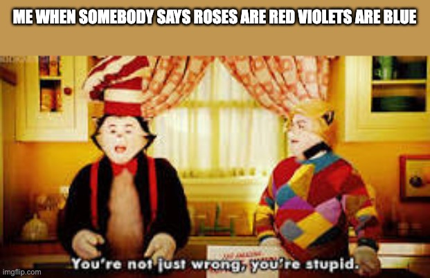 Your not just wrong your stupid | ME WHEN SOMEBODY SAYS ROSES ARE RED VIOLETS ARE BLUE | image tagged in your not just wrong your stupid | made w/ Imgflip meme maker