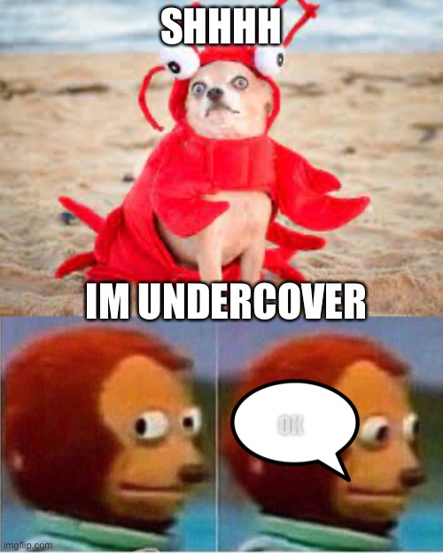 Look comments | SHHHH; IM UNDERCOVER; OK | image tagged in dogster | made w/ Imgflip meme maker