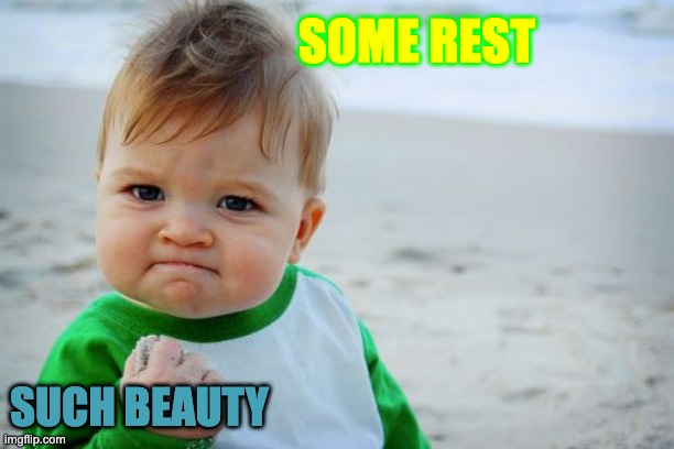 some rest | SOME REST; SUCH BEAUTY | image tagged in memes,success kid original | made w/ Imgflip meme maker