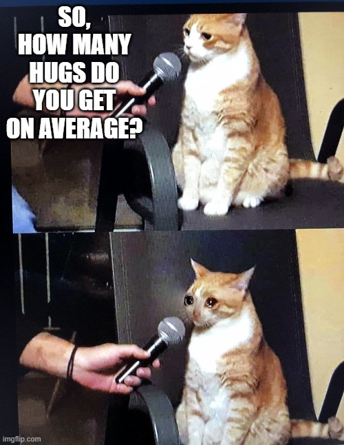 Cat interview crying | SO, HOW MANY HUGS DO YOU GET ON AVERAGE? | image tagged in cat interview crying | made w/ Imgflip meme maker