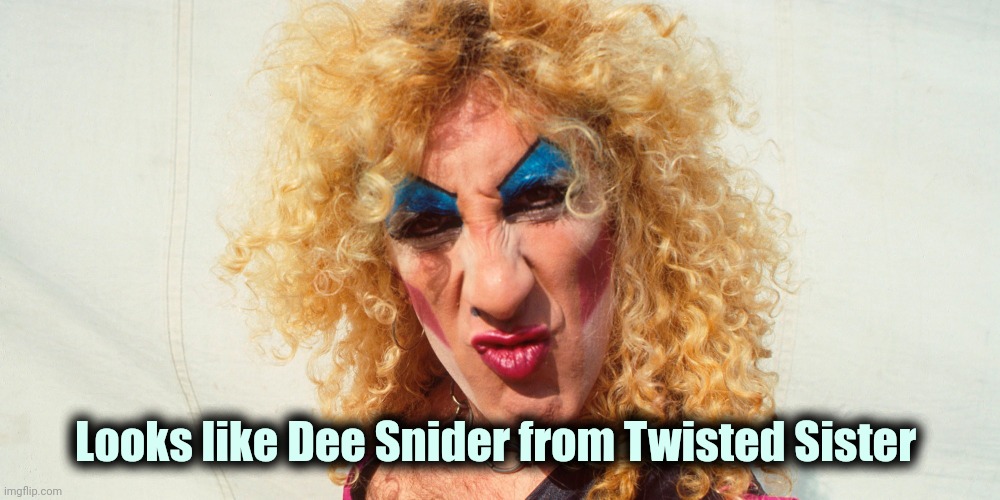 Dee Snider, Twisted Sister | Looks like Dee Snider from Twisted Sister | image tagged in dee snider twisted sister | made w/ Imgflip meme maker