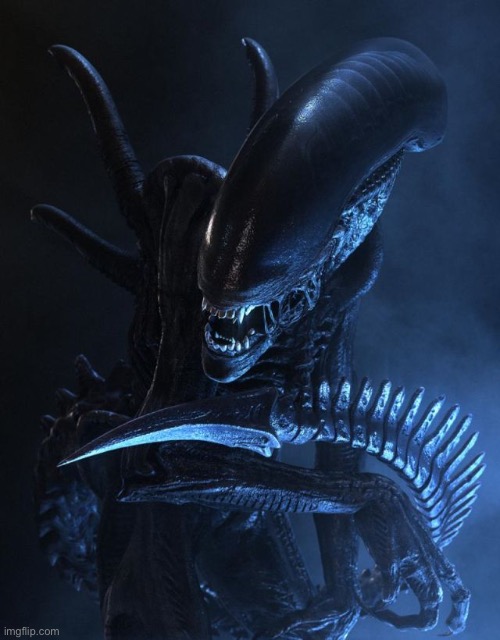Alien Xenomorph | image tagged in alien xenomorph | made w/ Imgflip meme maker