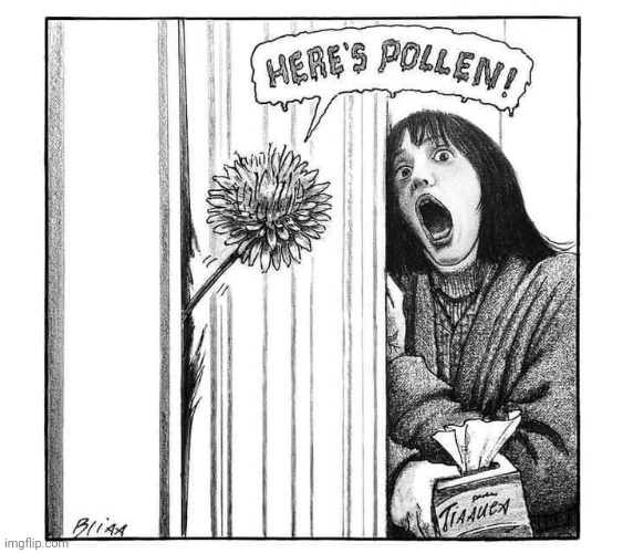YOU CAN TELL IT'S SPRING | image tagged in comics/cartoons,here's johnny,the shining,allergies | made w/ Imgflip meme maker