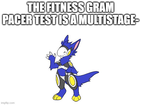 Pacer! | THE FITNESS GRAM PACER TEST IS A MULTISTAGE- | image tagged in blank white template | made w/ Imgflip meme maker