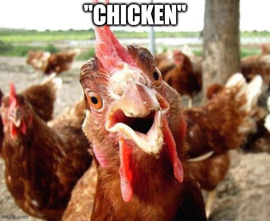 Chicken | "CHICKEN" | image tagged in chicken | made w/ Imgflip meme maker