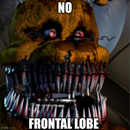 fredbear | NO; FRONTAL LOBE | image tagged in five nights at freddys | made w/ Imgflip meme maker