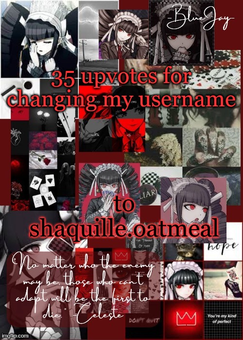 Jaiden Celeste Temp | 35 upvotes for changing my username; to shaquille.oatmeal | image tagged in jaiden celeste temp | made w/ Imgflip meme maker