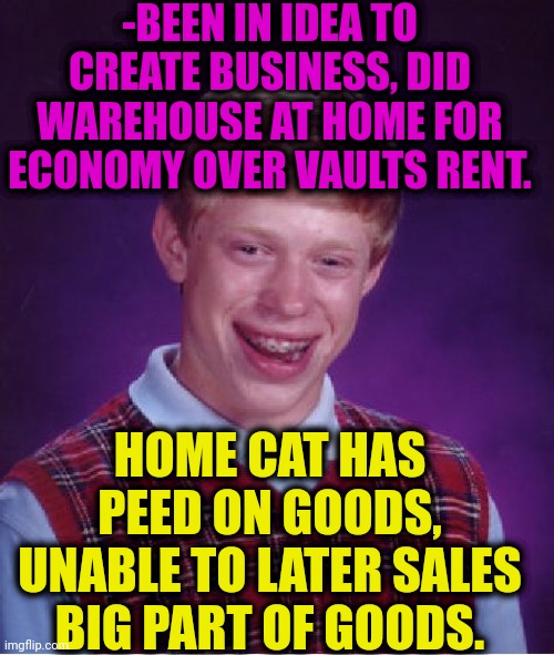 -Lost all items. |  -BEEN IN IDEA TO CREATE BUSINESS, DID WAREHOUSE AT HOME FOR ECONOMY OVER VAULTS RENT. HOME CAT HAS PEED ON GOODS, UNABLE TO LATER SALES BIG PART OF GOODS. | image tagged in memes,bad luck brian,woman yelling at a cat,mind your own business,peeing,lost in the woods | made w/ Imgflip meme maker