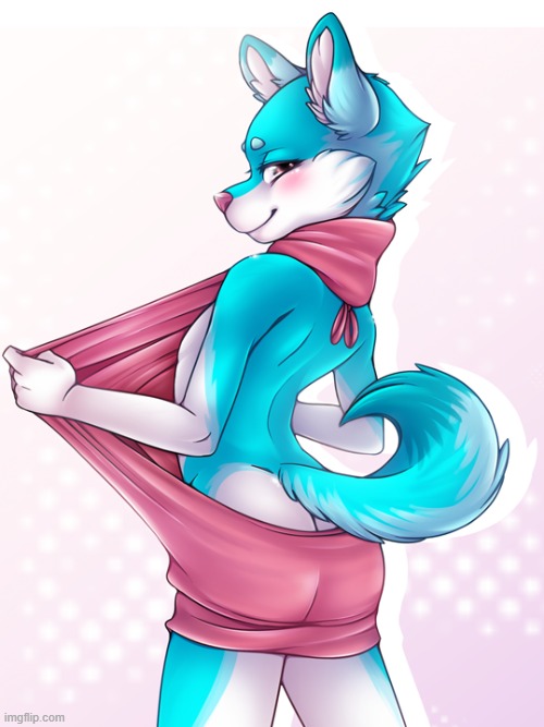 By Z-afiro | image tagged in furry,femboy,cute,sweater | made w/ Imgflip meme maker
