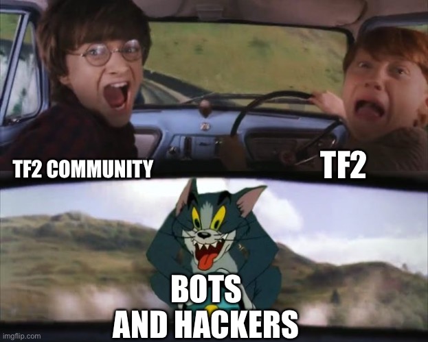 Tom chasing Harry and Ron Weasly | TF2; TF2 COMMUNITY; BOTS AND HACKERS | image tagged in tom chasing harry and ron weasly,just for fun | made w/ Imgflip meme maker