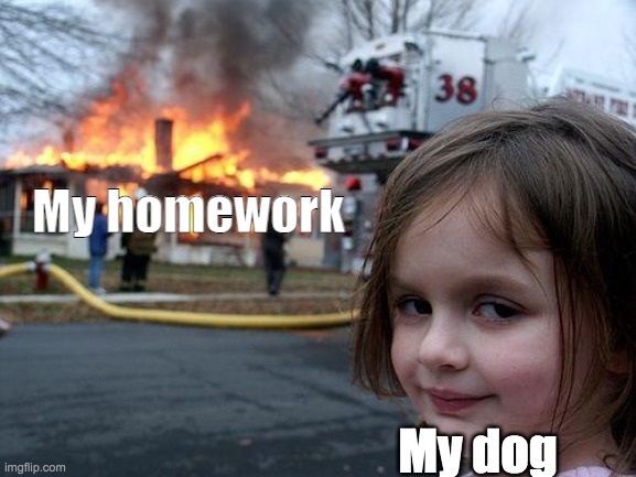 When you don't do homework... | My homework; My dog | image tagged in memes,disaster girl | made w/ Imgflip meme maker