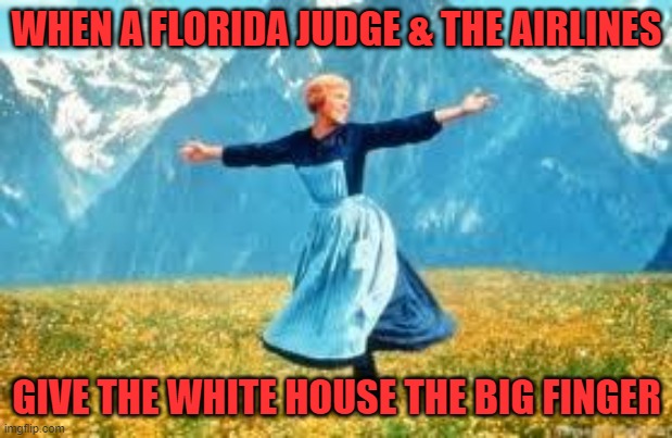 Look At All These Meme | WHEN A FLORIDA JUDGE & THE AIRLINES GIVE THE WHITE HOUSE THE BIG FINGER | image tagged in memes,look at all these | made w/ Imgflip meme maker