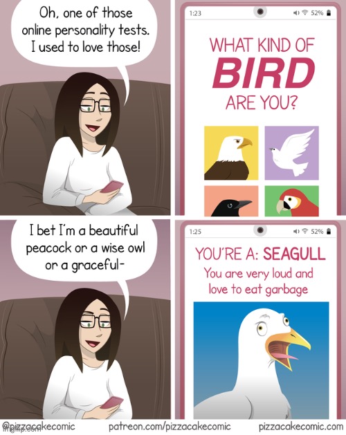 Personality Test | image tagged in comics,funny,memes,personality test,seagull | made w/ Imgflip meme maker