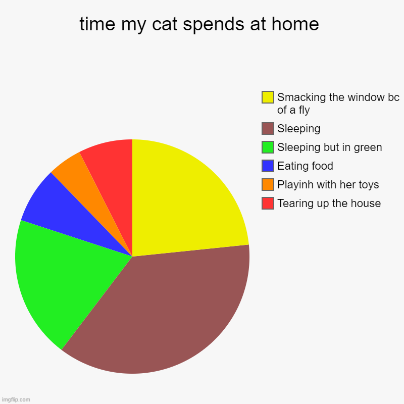 cat lol | time my cat spends at home | Tearing up the house, Playinh with her toys, Eating food, Sleeping but in green, Sleeping, Smacking the window  | image tagged in charts,pie charts | made w/ Imgflip chart maker