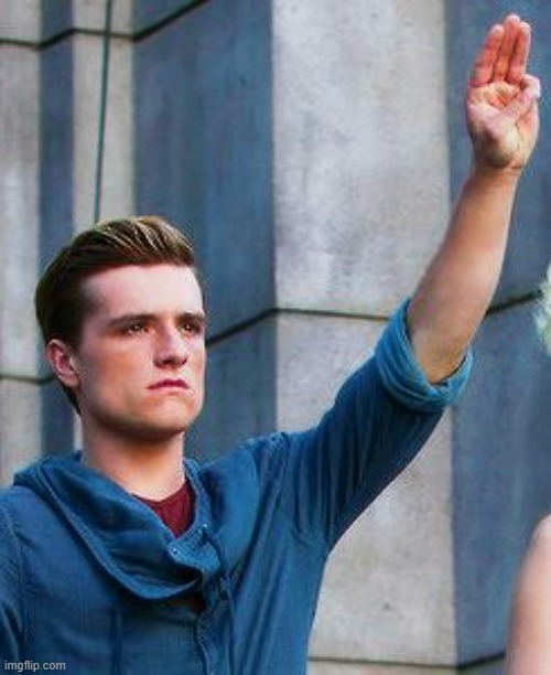 Peeta tribute | image tagged in peeta tribute | made w/ Imgflip meme maker