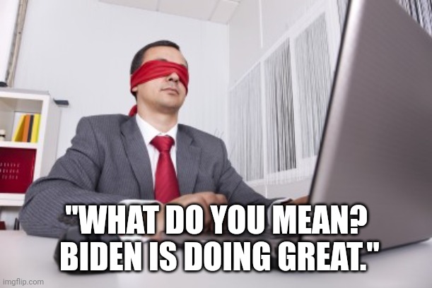 Blindfolded | "WHAT DO YOU MEAN?  BIDEN IS DOING GREAT." | image tagged in blindfolded | made w/ Imgflip meme maker