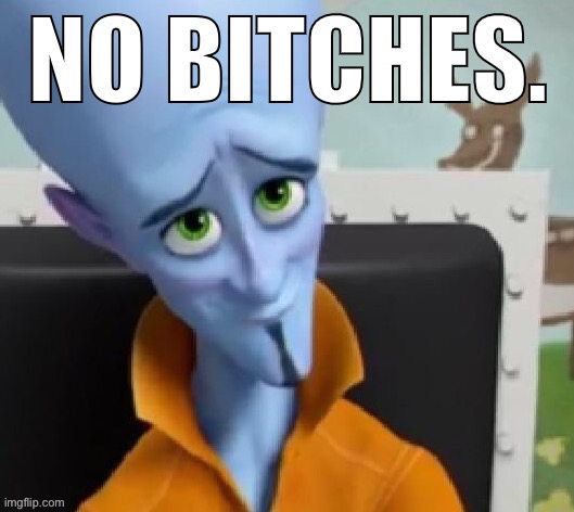 image tagged in no bitches good ending | made w/ Imgflip meme maker