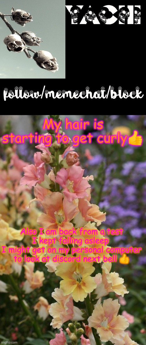 Yachi's snapdragon temp | My hair is starting to get curly👍; Also I am back from a test I kept falling asleep 
I might get on my personal computer to look at discord next bell 👍 | image tagged in yachi's snapdragon temp | made w/ Imgflip meme maker