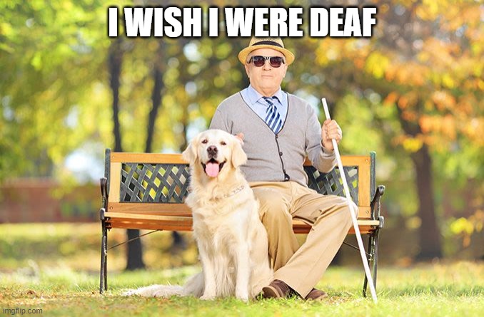 Wish | I WISH I WERE DEAF | image tagged in memes | made w/ Imgflip meme maker