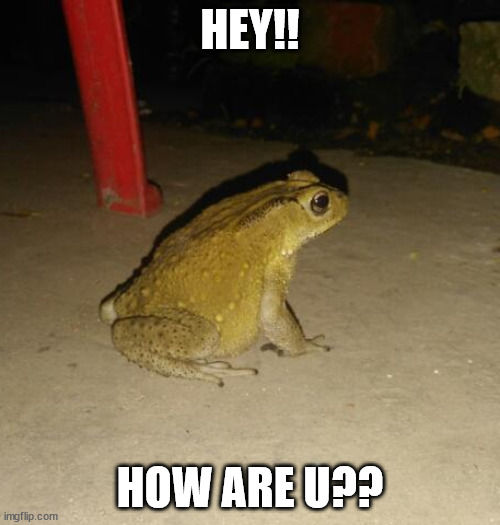 hello!! | HEY!! HOW ARE U?? | image tagged in greetings | made w/ Imgflip meme maker