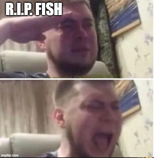 Crying salute | R.I.P. FISH | image tagged in crying salute | made w/ Imgflip meme maker