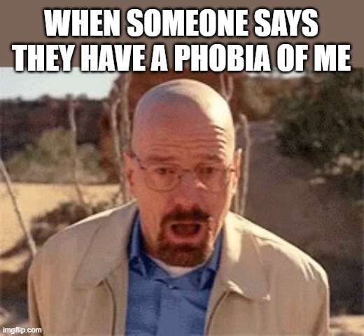 Walter White | WHEN SOMEONE SAYS THEY HAVE A PHOBIA OF ME | image tagged in walter white | made w/ Imgflip meme maker