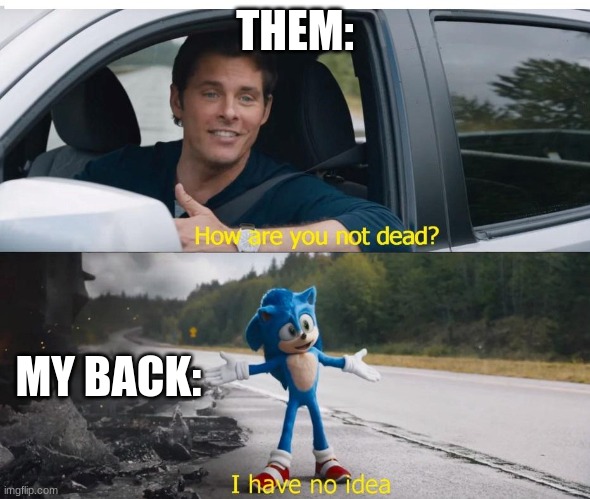 sonic how are you not dead | THEM: MY BACK: | image tagged in sonic how are you not dead | made w/ Imgflip meme maker