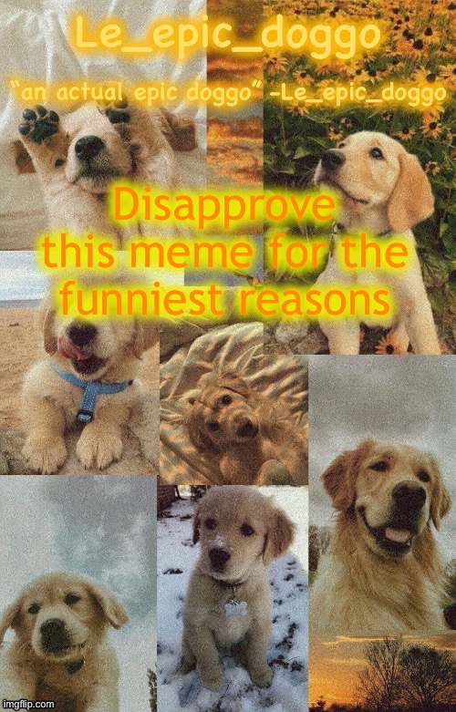 Good soldiers SHOULD follow orders | Disapprove this meme for the funniest reasons | image tagged in doggo temp by doggo wait what that s confusing | made w/ Imgflip meme maker