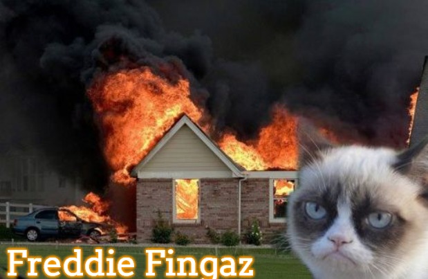 Burn Kitty | Freddie Fingaz | image tagged in memes,burn kitty,grumpy cat,slavic lives matter,freddie fingaz | made w/ Imgflip meme maker