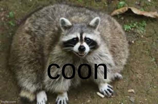 coon | made w/ Imgflip meme maker