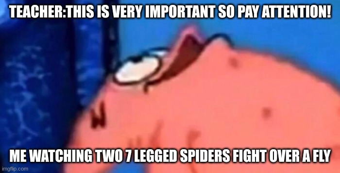 Patrick looking up | TEACHER:THIS IS VERY IMPORTANT SO PAY ATTENTION! ME WATCHING TWO 7 LEGGED SPIDERS FIGHT OVER A FLY | image tagged in patrick looking up | made w/ Imgflip meme maker