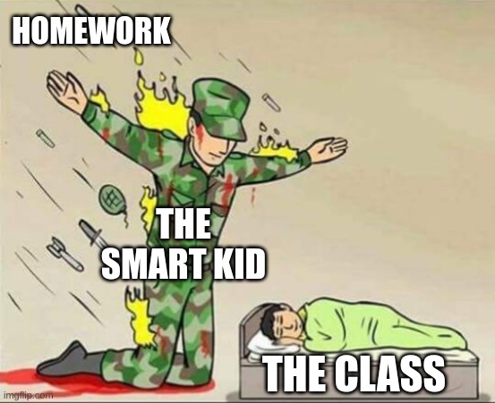 Soldier protecting sleeping child | HOMEWORK; THE SMART KID; THE CLASS | image tagged in soldier protecting sleeping child | made w/ Imgflip meme maker
