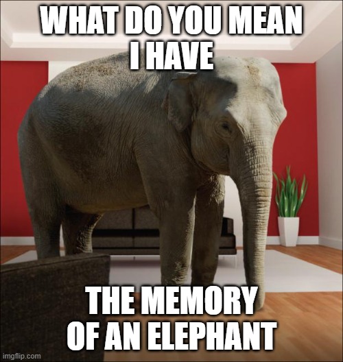 memory of an elephant | WHAT DO YOU MEAN
I HAVE; THE MEMORY OF AN ELEPHANT | image tagged in elephant in the room,memory,elephant,elephants | made w/ Imgflip meme maker