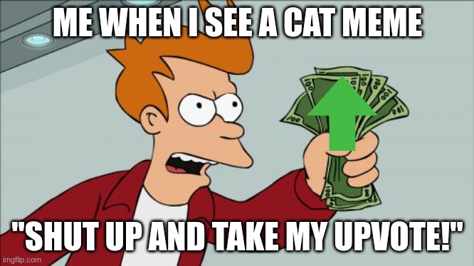 Shut Up And Take My Money Fry | ME WHEN I SEE A CAT MEME; "SHUT UP AND TAKE MY UPVOTE!" | image tagged in memes,shut up and take my money fry | made w/ Imgflip meme maker