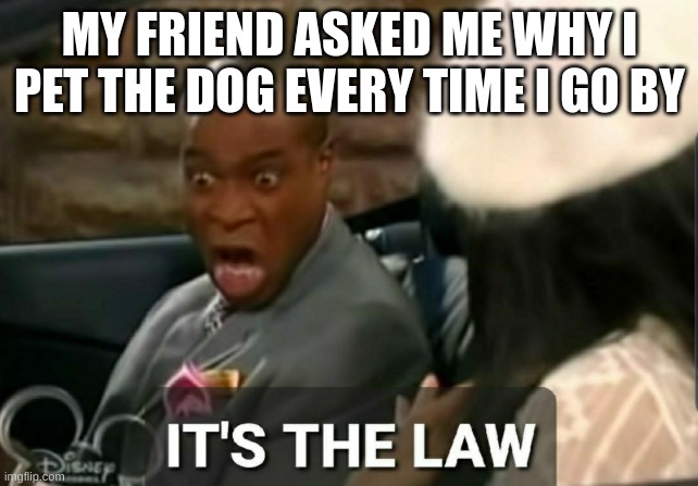 It's the law | MY FRIEND ASKED ME WHY I PET THE DOG EVERY TIME I GO BY | image tagged in it's the law | made w/ Imgflip meme maker