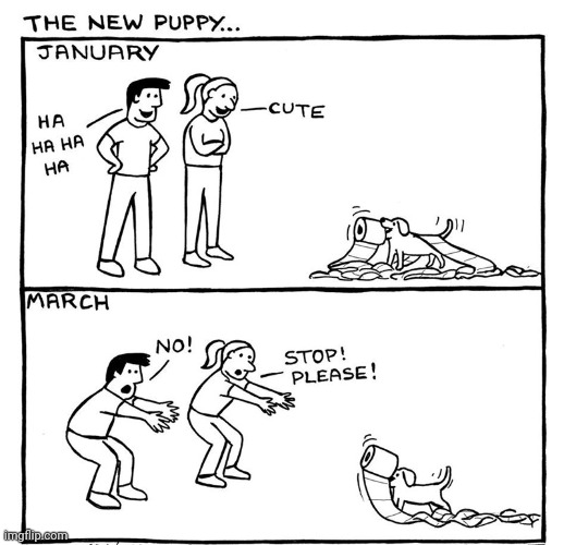 The New Puppy | image tagged in comics/cartoons,comics,comic,dog,puppy,puppies | made w/ Imgflip meme maker