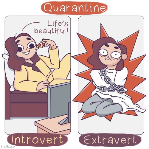 image tagged in introvert,extrovert,comics | made w/ Imgflip meme maker
