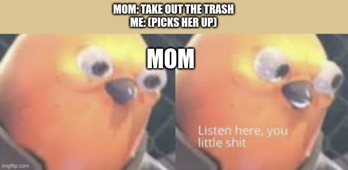 Oh shit im dead | MOM: TAKE OUT THE TRASH
ME: (PICKS HER UP); MOM | image tagged in listen here you little shit bird | made w/ Imgflip meme maker