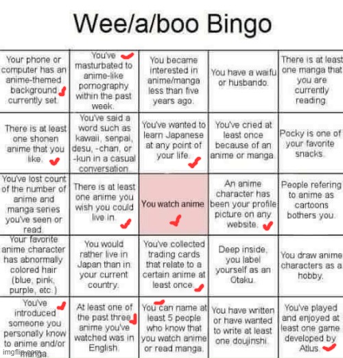 Turns out everyone who thinks I'm a weeb are incorrect. | image tagged in weeaboo bingo | made w/ Imgflip meme maker