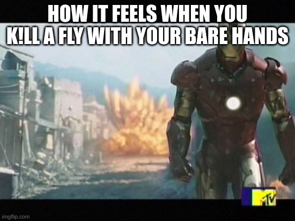 It is true | HOW IT FEELS WHEN YOU K!LL A FLY WITH YOUR BARE HANDS | image tagged in fun | made w/ Imgflip meme maker