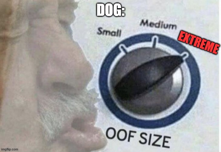 Oof size extreme | DOG: | image tagged in oof size extreme | made w/ Imgflip meme maker