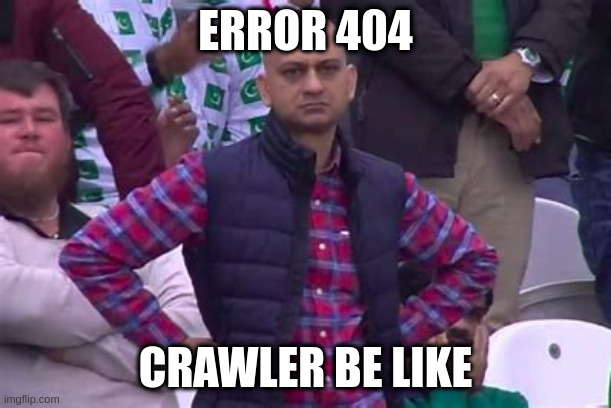 bald guy in stadium | ERROR 404; CRAWLER BE LIKE | image tagged in bald guy in stadium | made w/ Imgflip meme maker