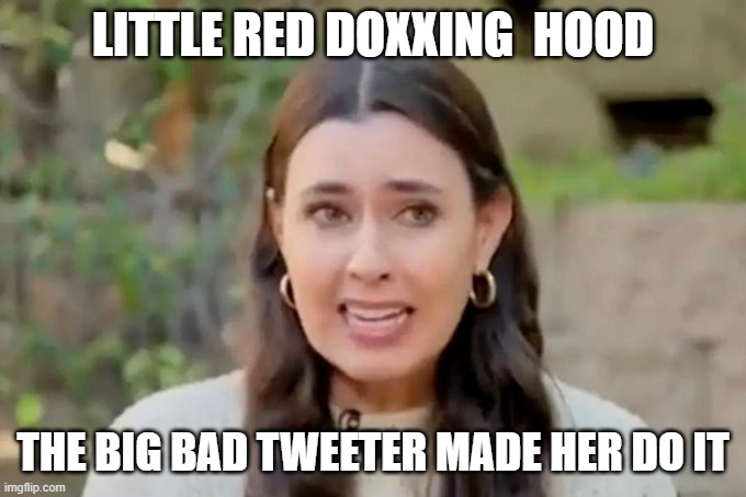 THE LEFT HAS A DOXXING PROBLEM | LITTLE RED DOXXING  HOOD; THE BIG BAD TWEETER MADE HER DO IT | made w/ Imgflip meme maker