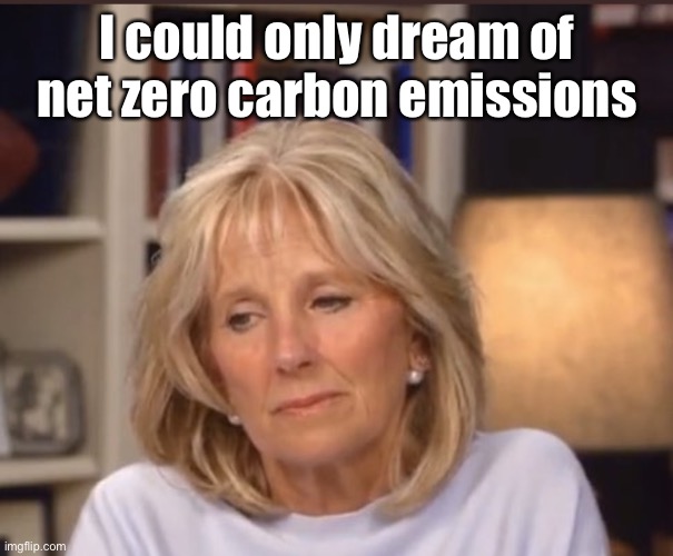 Jill Biden meme | I could only dream of net zero carbon emissions | image tagged in jill biden meme | made w/ Imgflip meme maker