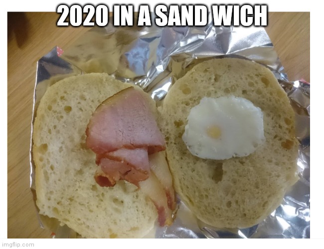 2020 in a sandwich | 2020 IN A SAND WICH | image tagged in 2020 in a sandwich | made w/ Imgflip meme maker