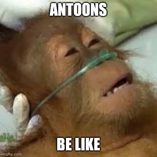Monke Defbed | ANTOONS; BE LIKE | image tagged in dying orangutan | made w/ Imgflip meme maker