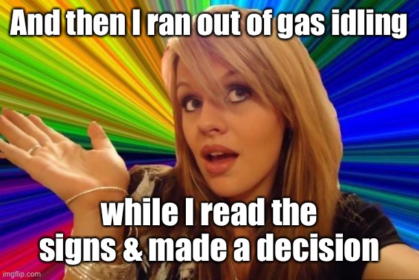 Dumb Blonde Meme | And then I ran out of gas idling while I read the signs & made a decision | image tagged in memes,dumb blonde | made w/ Imgflip meme maker