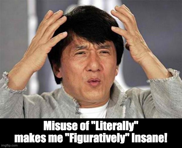 Insane | Misuse of "Literally" makes me "Figuratively" Insane! | image tagged in epic jackie chan hq | made w/ Imgflip meme maker